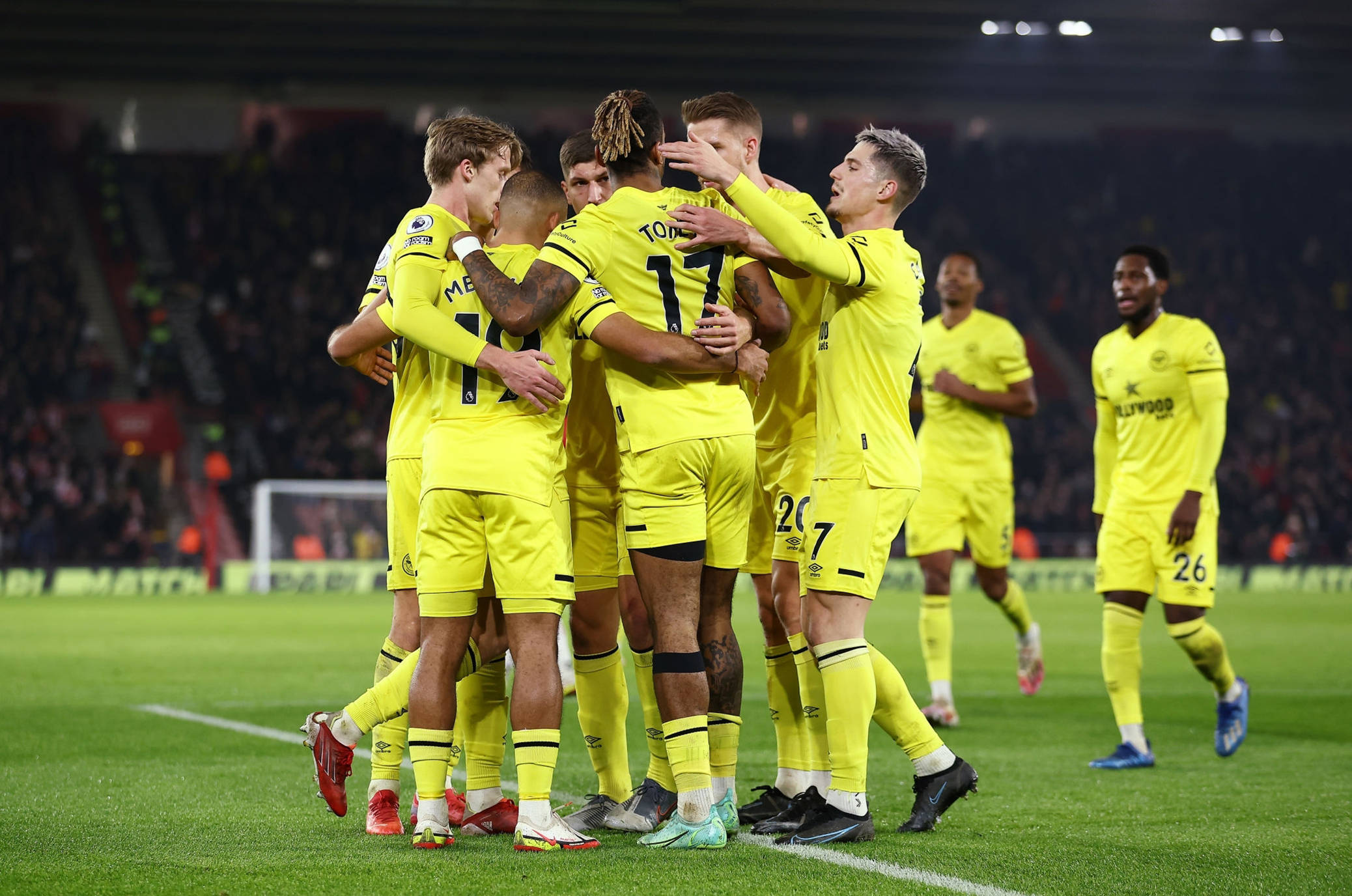 这只是亚马 这只是亚马