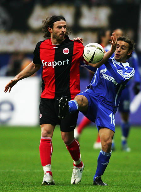 疑是利好 疑是利好